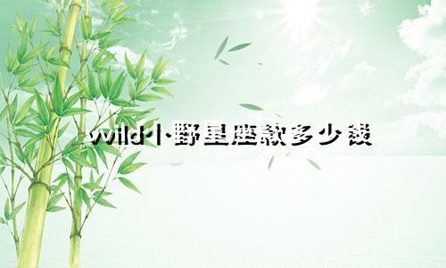 vvild小野星座款多少钱