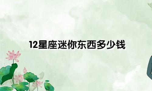12星座迷你东西多少钱