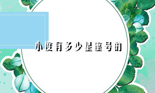 小度有多少星座号的