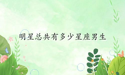 明星总共有多少星座男生