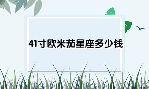 41寸欧米茄星座多少钱