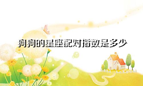 狗狗的星座配对指数是多少