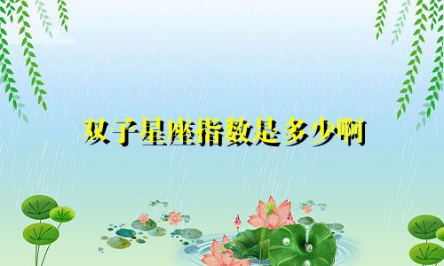 双子星座指数是多少啊