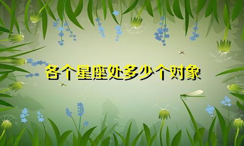 各个星座处多少个对象