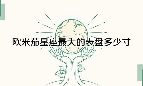 欧米茄星座最大的表盘多少寸