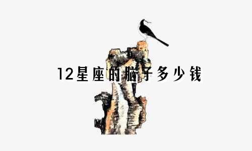 12星座的脑子多少钱