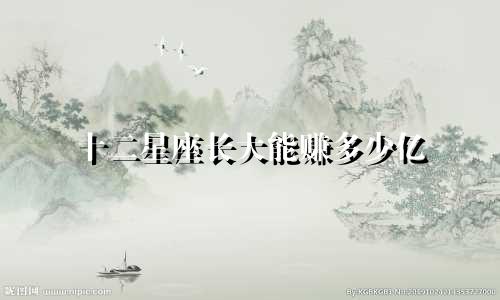 十二星座长大能赚多少亿