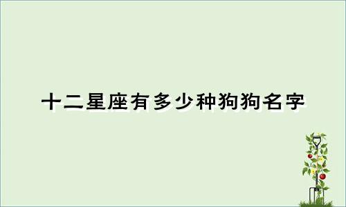 十二星座有多少种狗狗名字