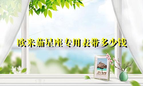 欧米茄星座专用表带多少钱