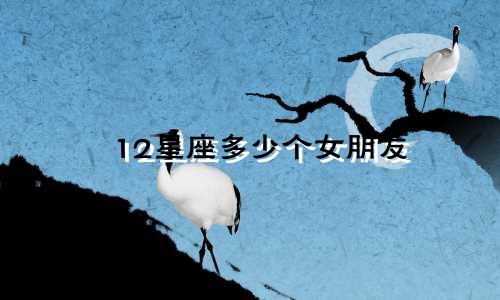 12星座多少个女朋友