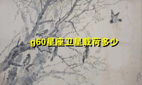 g60星座卫星载荷多少
