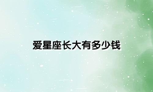 爱星座长大有多少钱