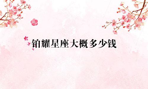 铂耀星座大概多少钱