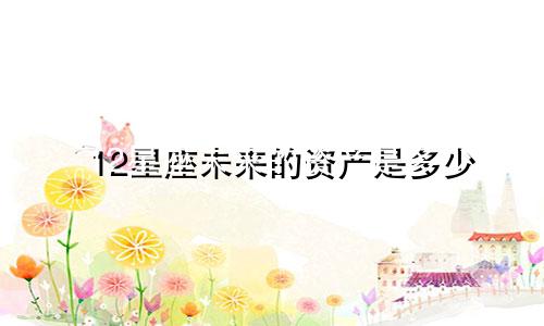 12星座未来的资产是多少