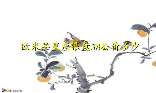 欧米茄星座银盘38公价多少