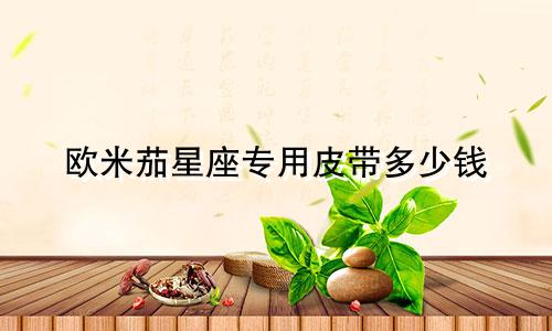 欧米茄星座专用皮带多少钱