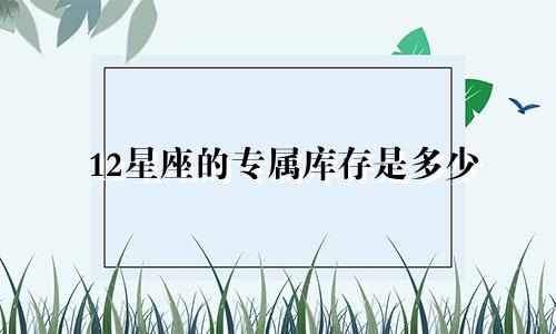 12星座的专属库存是多少