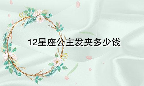 12星座公主发夹多少钱