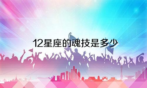 12星座的魂技是多少