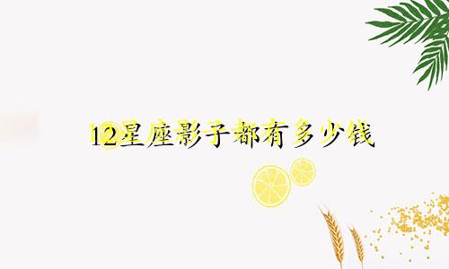 12星座影子都有多少钱