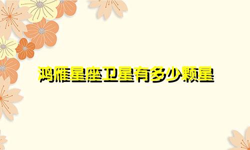 鸿雁星座卫星有多少颗星