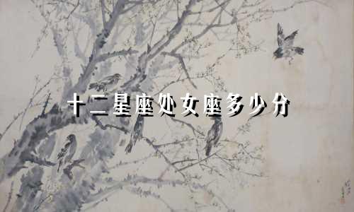 十二星座处女座多少分