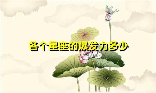 各个星座的爆发力多少