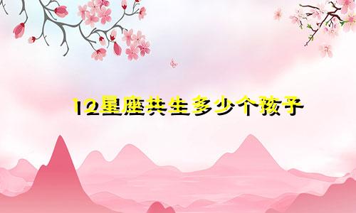 12星座共生多少个孩子