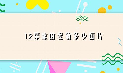12星座的爱值多少图片