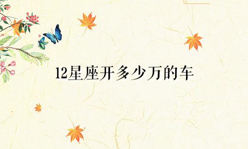 12星座开多少万的车