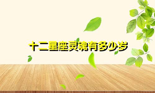十二星座灵魂有多少岁