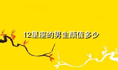12星座的男生颜值多少