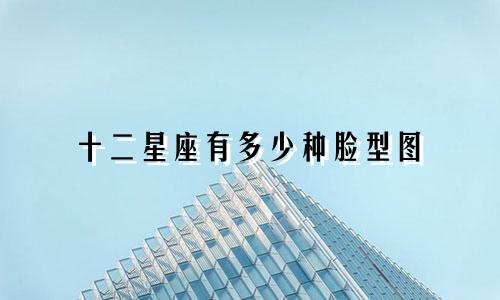 十二星座有多少种脸型图