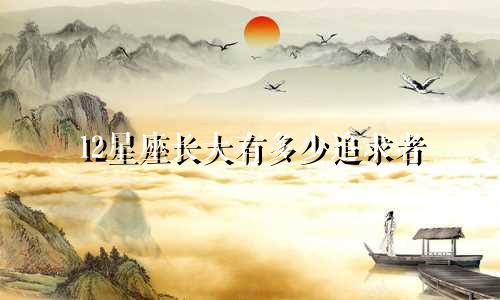 12星座长大有多少追求者