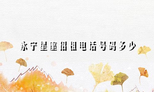永宁星座招租电话号码多少