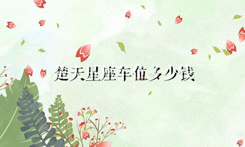 楚天星座车位多少钱