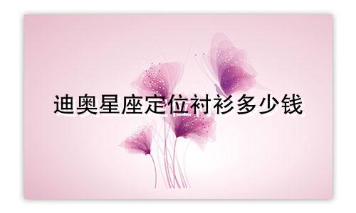 迪奥星座定位衬衫多少钱