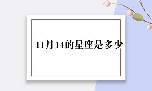 11月14的星座是多少