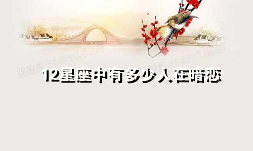 12星座中有多少人在暗恋