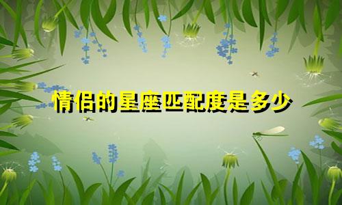 情侣的星座匹配度是多少