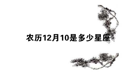 农历12月10是多少星座