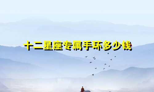 十二星座专属手环多少钱