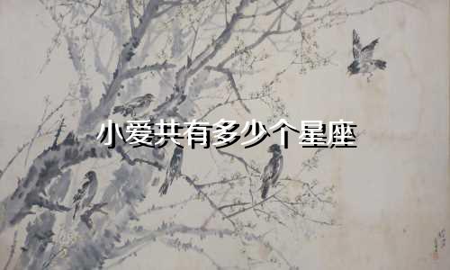 小爱共有多少个星座
