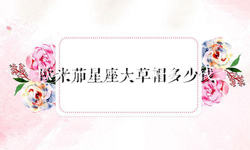 欧米茄星座大草帽多少钱