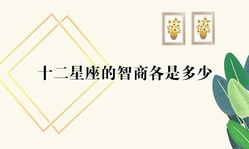 十二星座的智商各是多少