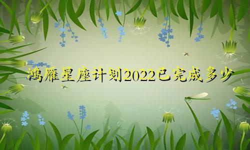 鸿雁星座计划2022已完成多少