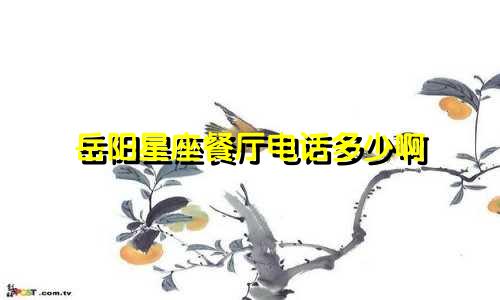 岳阳星座餐厅电话多少啊