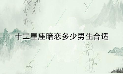 十二星座暗恋多少男生合适