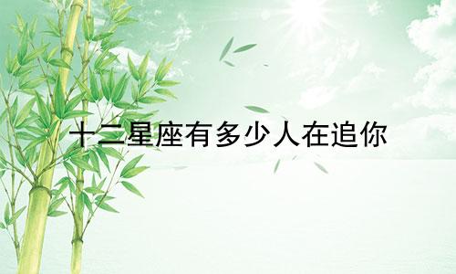 十二星座有多少人在追你