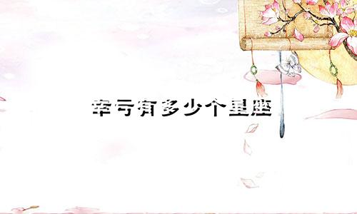 幸亏有多少个星座